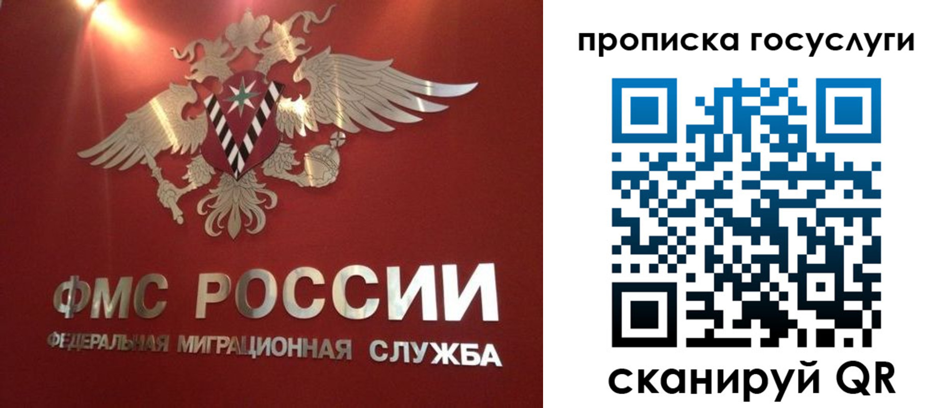 временная регистрация для всех в Воронежской области